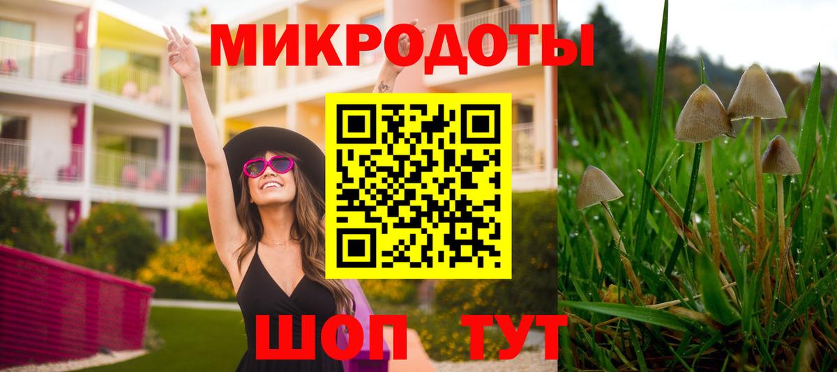Псилоцибиновые грибы Psilocybine cubensis Саянск